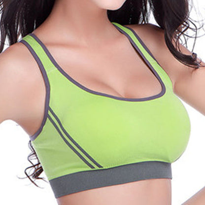 Performance  Sports Bra